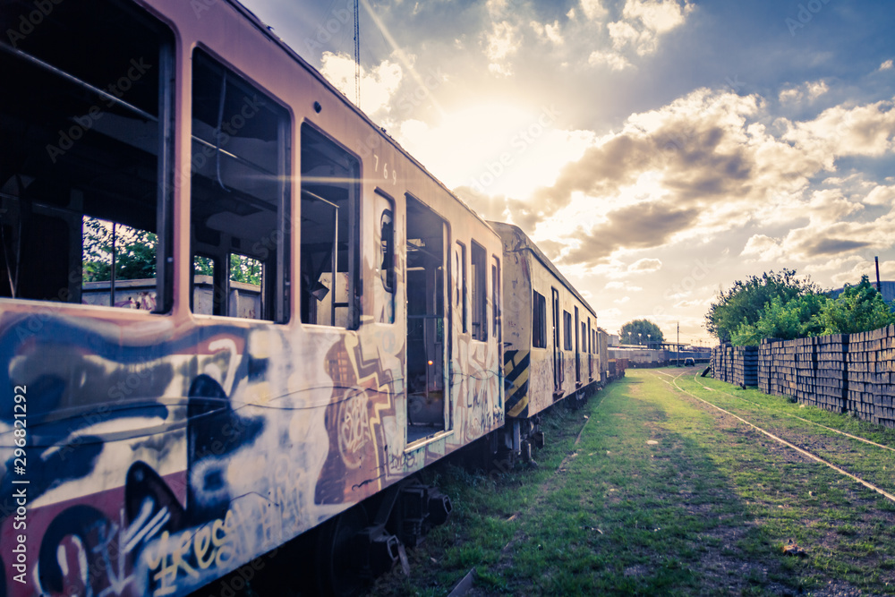 Obraz premium Trenes