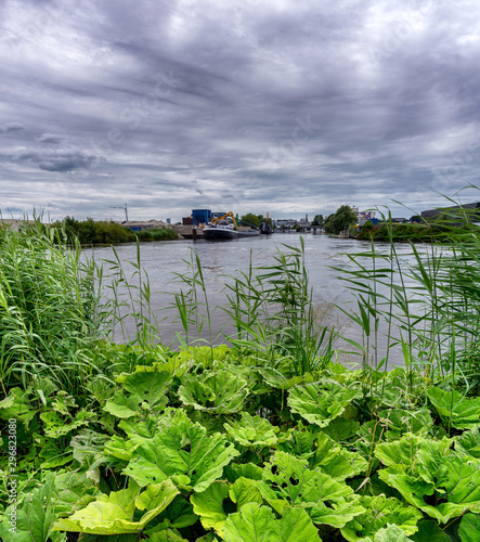 View over Delfthavense Schie in Rotterdam with summer overcast photo