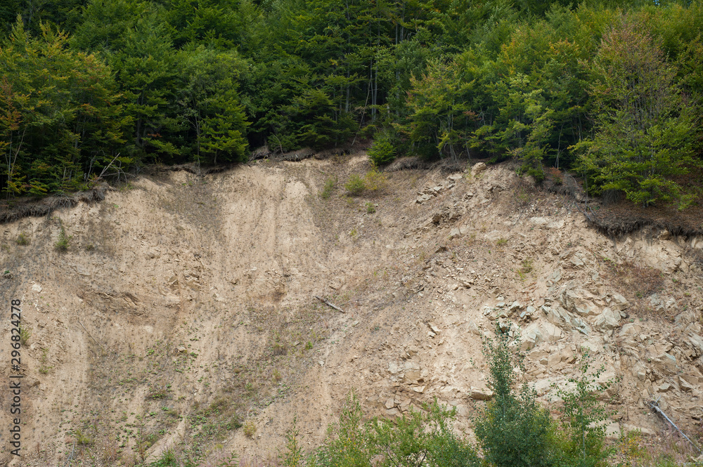 Open trees roots due to landslides, soil erosion, after road cut Open trees roots due to landslides, soil erosion, after road cut