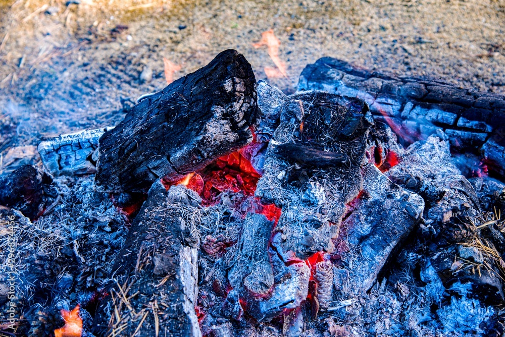 Close-up of campfire in evening . Wood fire . Rest by the fire. Fireplace. Close-up of campfire in evening . Wood fire . Rest by the fire. Fireplace.