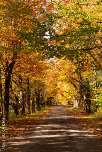 Secluded Narrow Lane Road Tree Leaves Autumn Season Fall Colors © Christopher Boswell