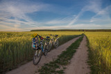 Summer, dirt road through the field, on which there are two bicycles - male and female