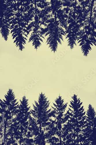 Vertical background made of blue silhouettes of Christmas trees with yellow sky