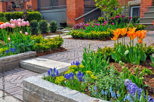 This beautiful, urban front yard spring garden features a large veranda, brick paver walkway, retaining wall with plantings of bulbs, shrubs and perennials for colour, texture and winter interest. photo