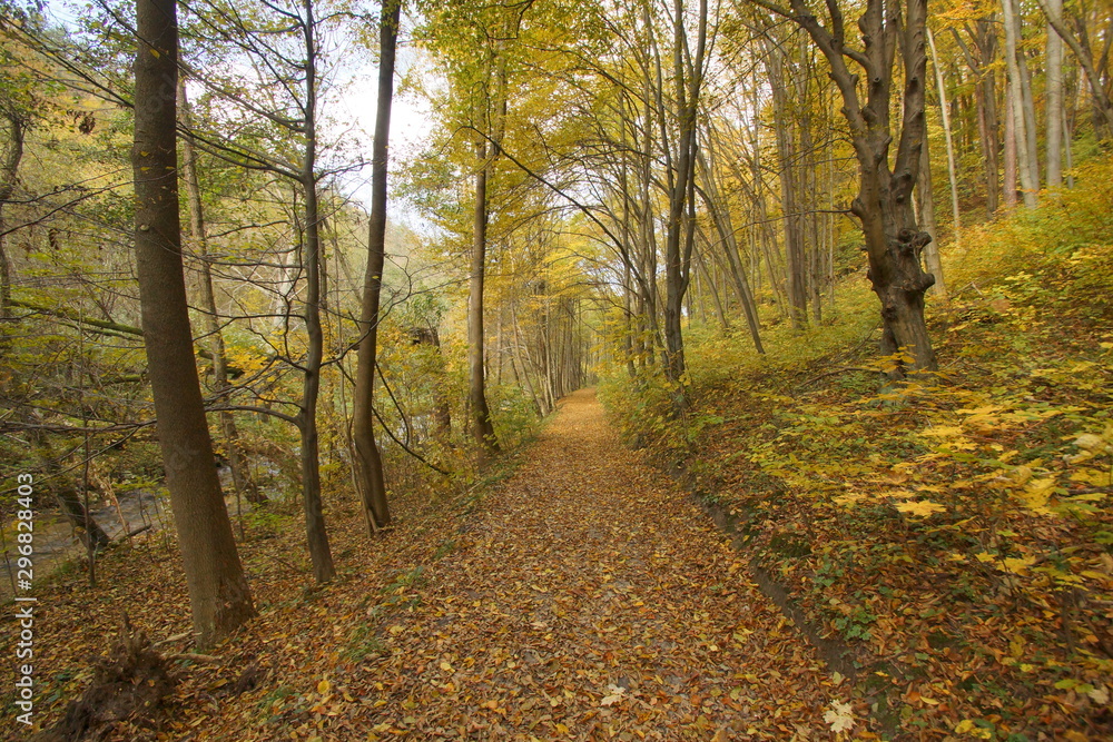Obraz premium jesień jura dolina Racławki
