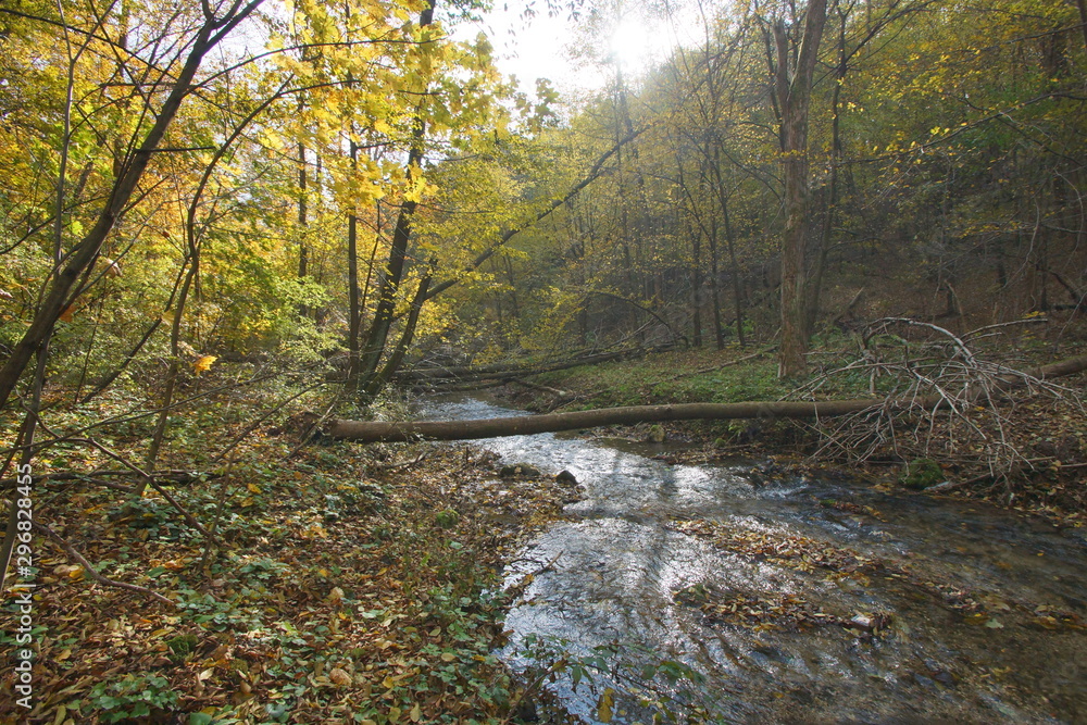 jesień jura dolina Racławki
