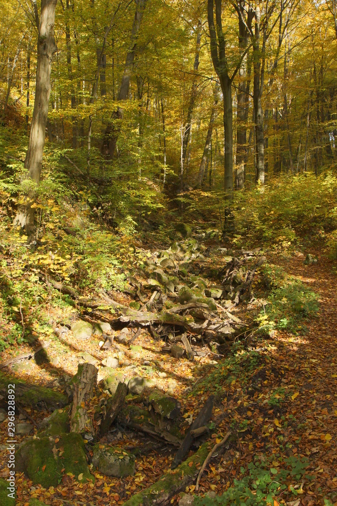 Obraz premium jesień jura dolina Racławki