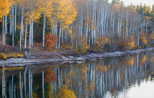 Southern Utah Autumn