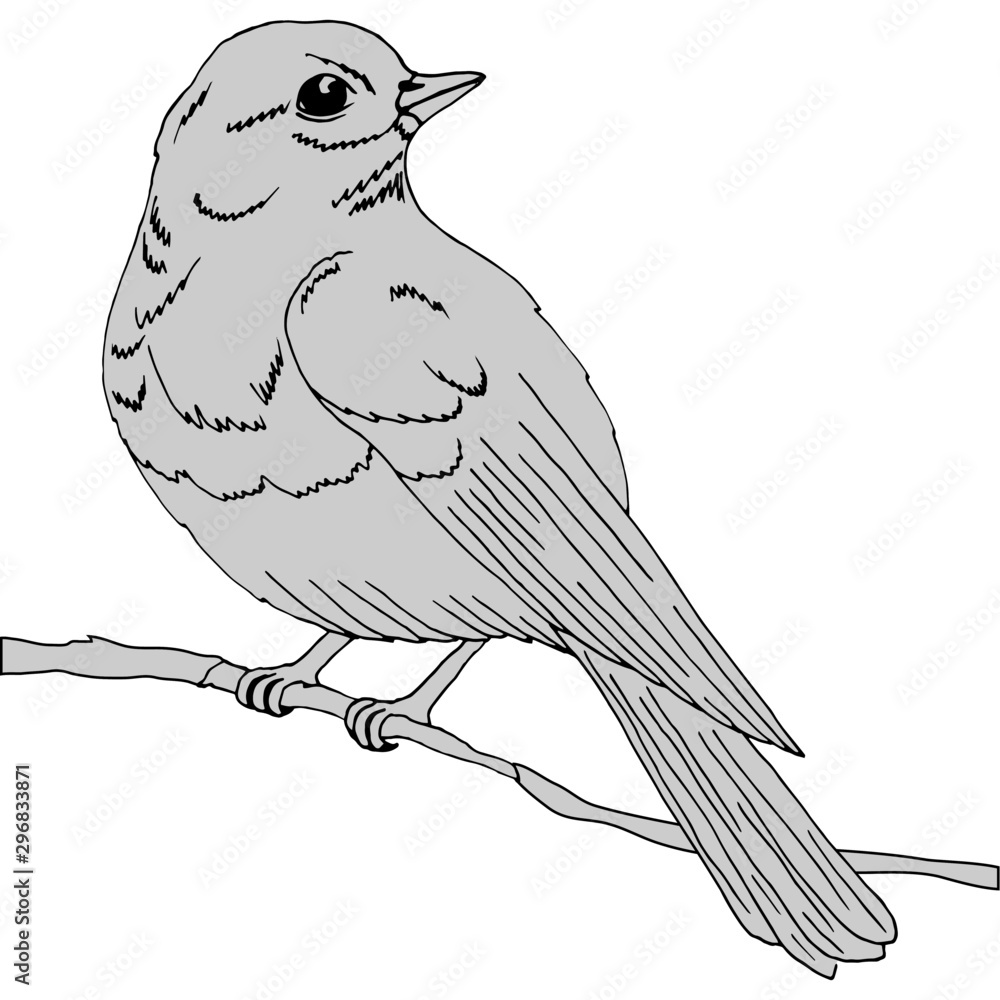 Obraz premium picture in monochrome colors, a bird on a branch