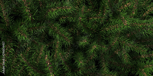 Fototapeta Naklejka Na Ścianę i Meble -  Background of Christmas tree branches. Happy New Year green theme background. 3d rendering.