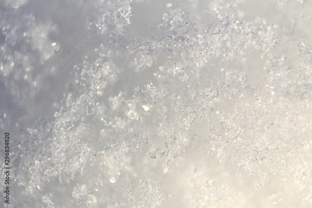 Macro of real snow flakes. Winter background.