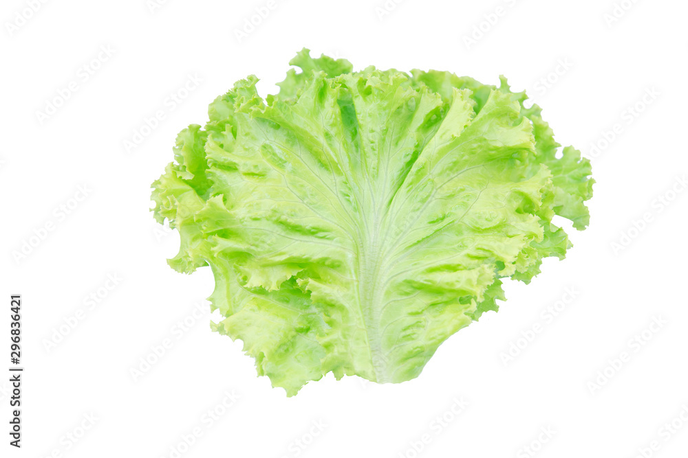 Salad leaf. Lettuce isolated on white background with clipping path. Salad leaf. Lettuce isolated on white background with clipping path.