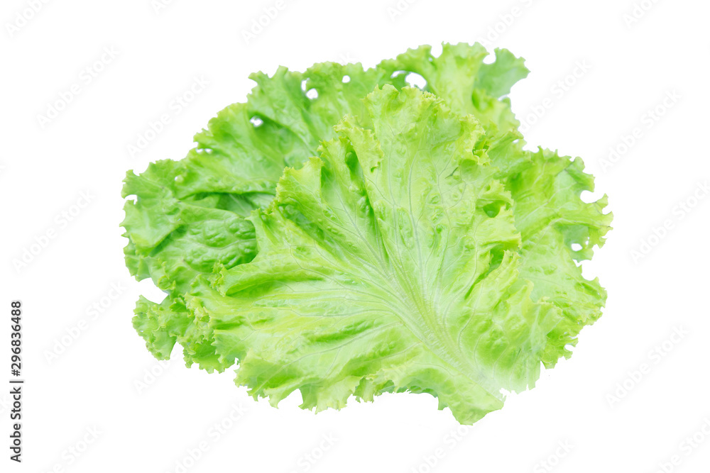 Salad leaf. Lettuce isolated on white background with clipping path. Salad leaf. Lettuce isolated on white background with clipping path.