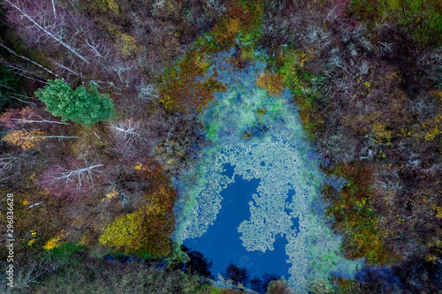 Swamp in the forest aerial. Aerial swamp in the forest.
