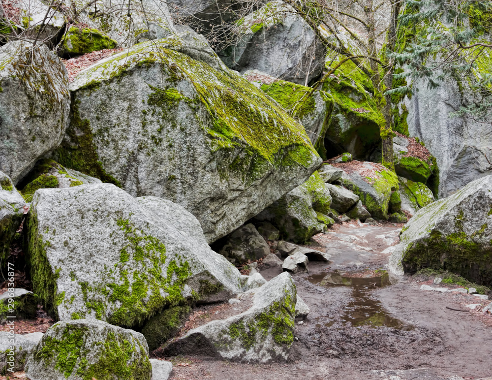 Moss-Covered Boulders on Yosemite Trail Moss-Covered Boulders on Yosemite Trail