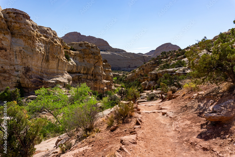 Lonely Hike