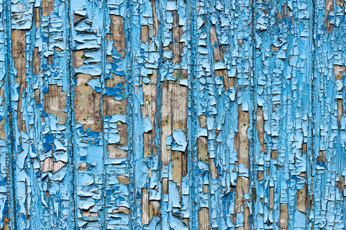Texture of cracked wooden panels covered with old peeled blue paint © kargona