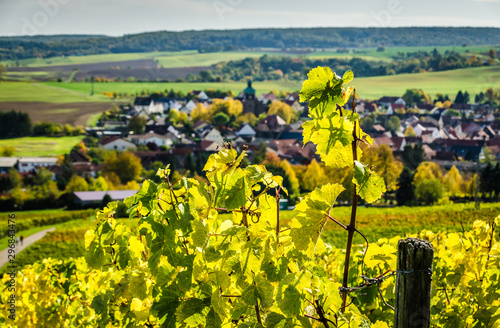 Nahetal Blick auf Duchroth vom Weinberg