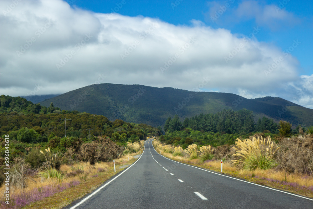 Fototapeta premium road through Tongariro national Park, New Zealand