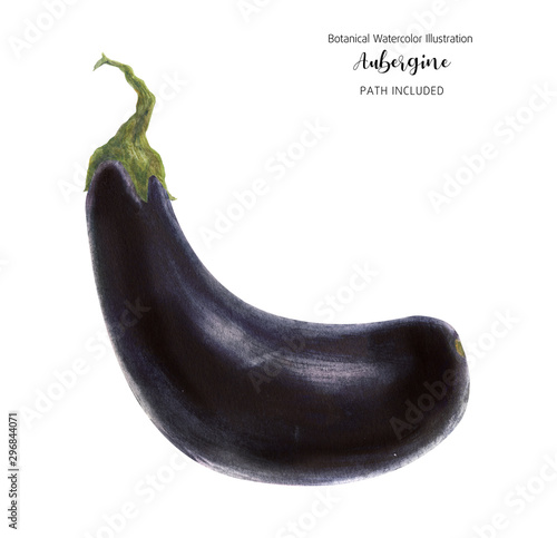 Fresh dark violet eggplant, watercolor illustration, isolated and clipping path