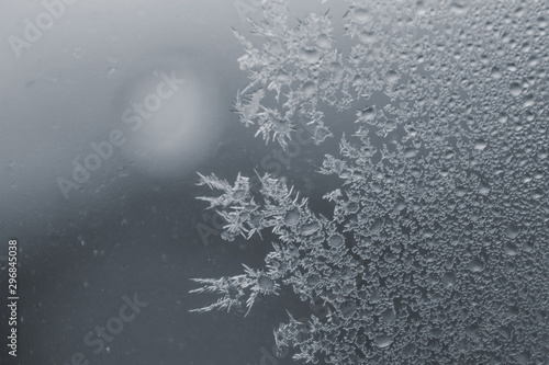 Close up view of frozen shells