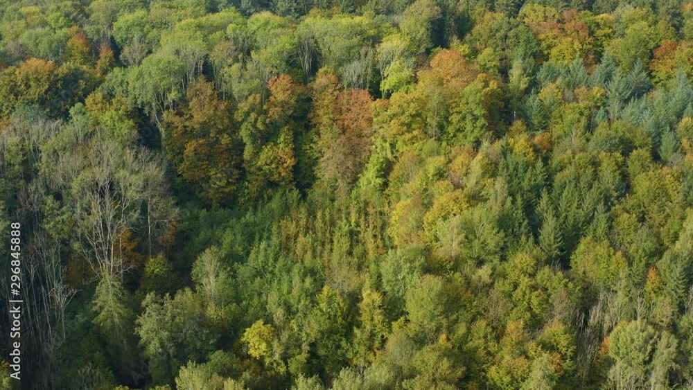 Aerial view of woods and trees around lake Constance in Germany on a sunny day in autumn, fall. Tilt down along some trees. Aerial view of woods and trees around lake Constance in Germany on a sunny day in autumn, fall. Tilt down along some trees.