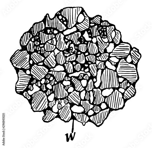Soil Crumb vintage illustration.