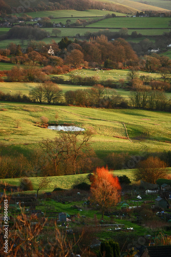 Scenic view of farmland