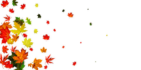Autumn leaves wind. November falling pattern background. Season concept