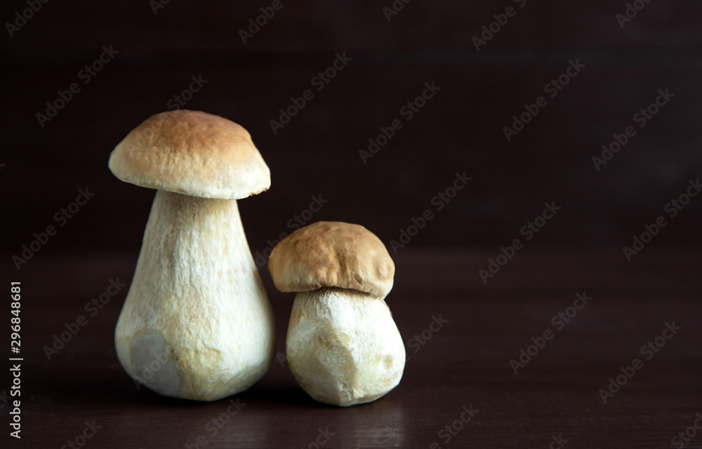 Two fresh ceps of different sizes stand on a brown wooden background. two mushrooms stand nearby