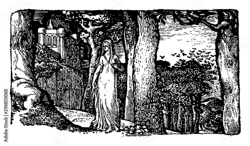 The Lady and the Rooks is an engraving on a wood block vintage engraving.