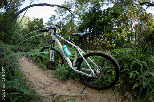 One mountain bike at rainforest trail