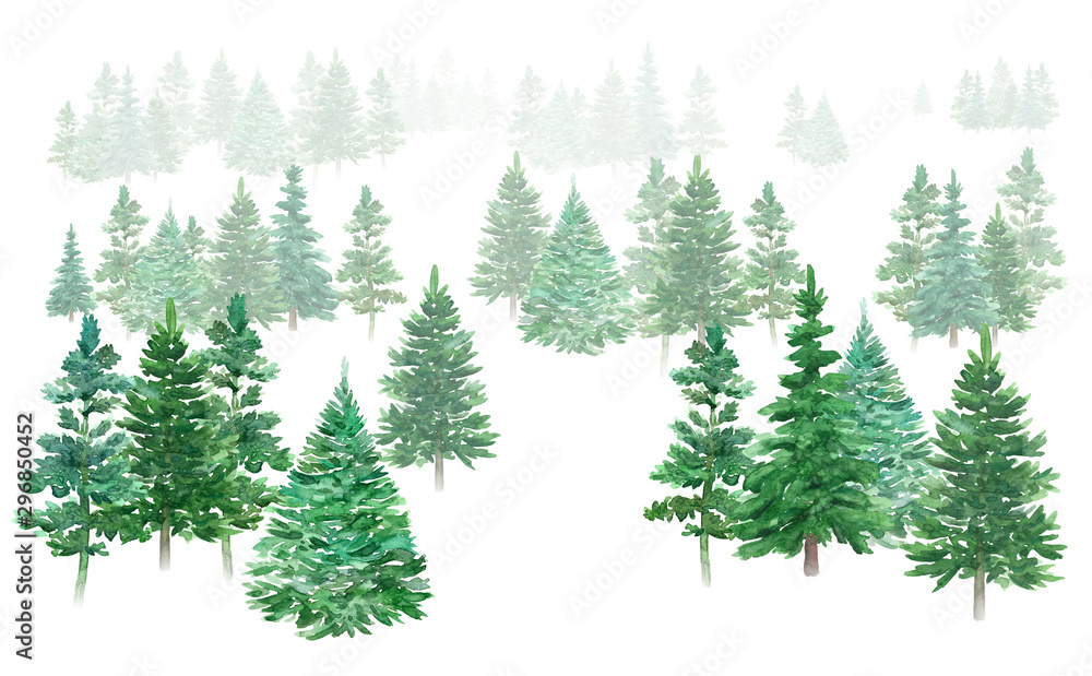 Watercolor winter forest. Christmas green trees. Spruce and holiday trees. Hand-drawn illustration.