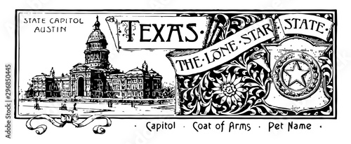 The state banner for Texas the lone star state vintage illustration