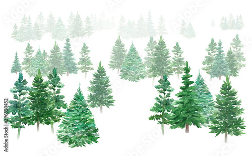 Watercolor winter forest. Christmas green trees. Spruce and holiday trees. Hand-drawn illustration. © annakonchits