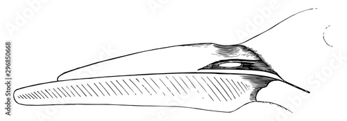 The Bill of a Skimmer vintage illustration.