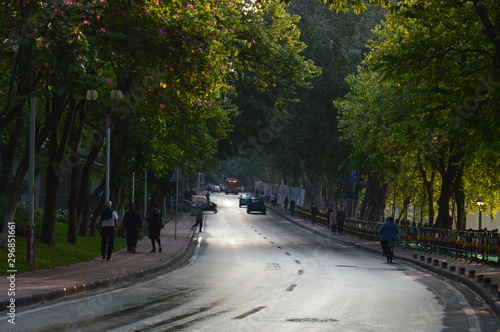 alley in park