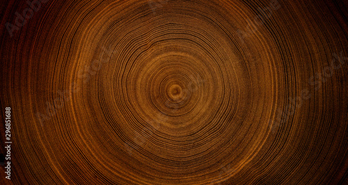 Fototapeta Naklejka Na Ścianę i Meble -  Detailed warm dark brown and orange tones of a felled tree trunk or stump. Rough organic texture of tree rings with close up of end grain.