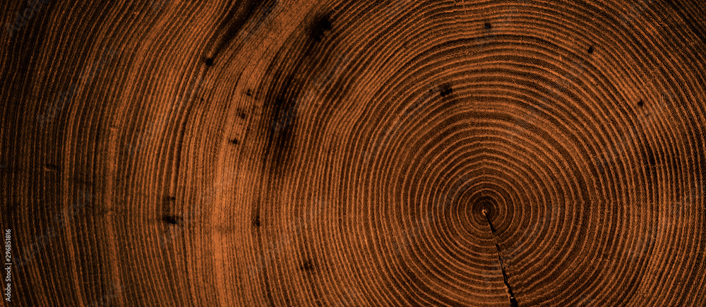 Naklejka premium Szczegółowe, ciepłe, ciemnobrązowe i pomarańczowe odcienie ściętego pnia lub pnia. Szorstka organiczna tekstura słojów z bliska końca ziarna.