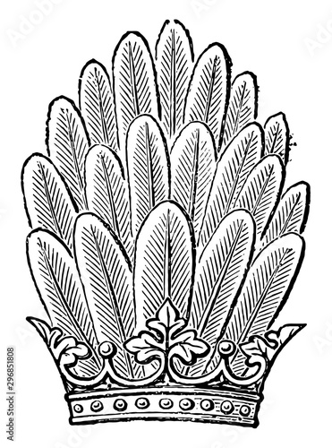 Panache as a crest vintage engraving.