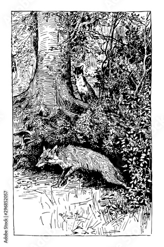 Reynard the Fox: Hiding the Treasure vintage illustration