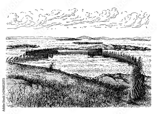 Herring Weir, vintage illustration.