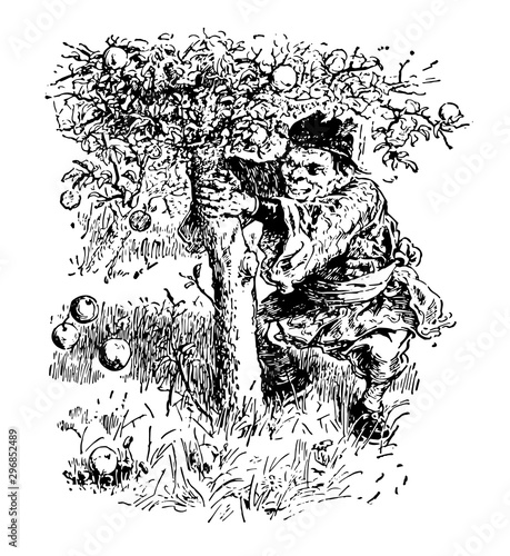 Dwarf Apple Tree vintage illustration
