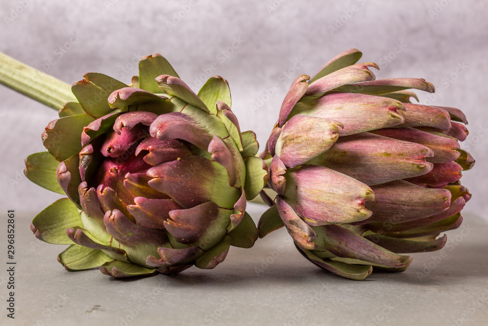 Obraz premium artichokes on grey background. fresh organic artichoke flower