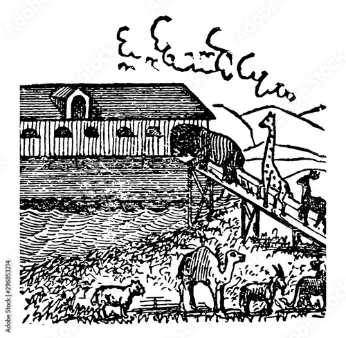 Noah Ark vintage illustration