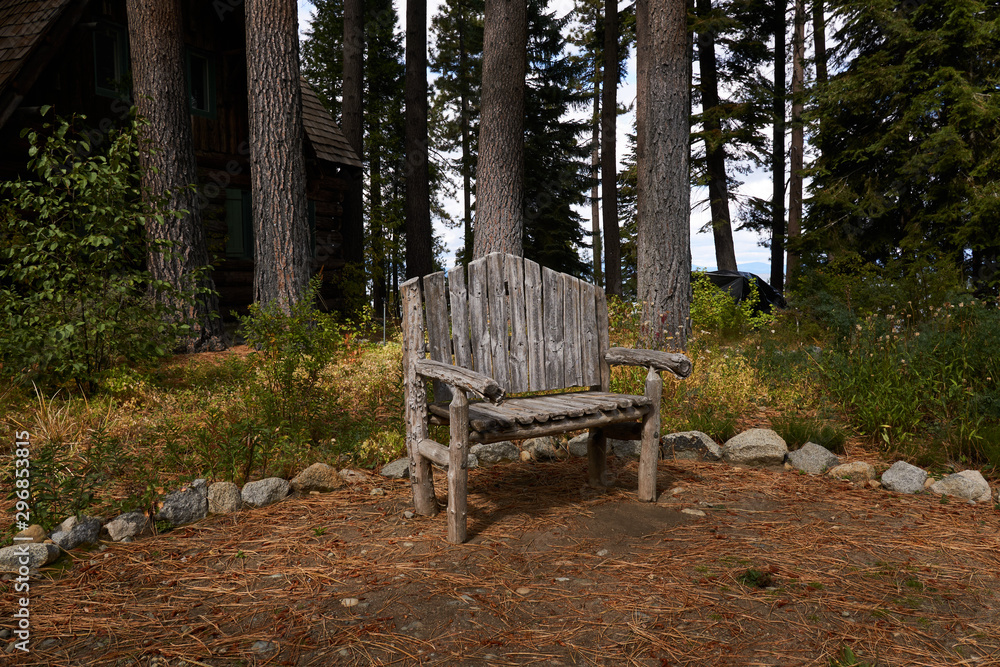 Hand made wooden seat sits in the garden surrounded by giant Ponderosa Pine trees and native grass Hand made wooden seat sits in the garden surrounded by giant Ponderosa Pine trees and native grass