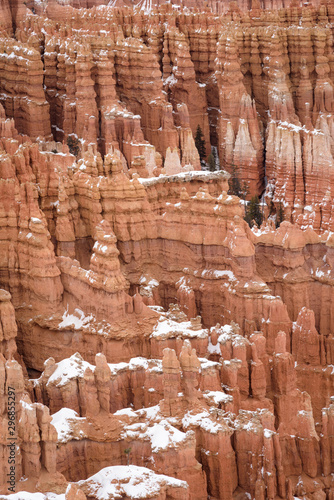 Close Up of beautiful snow covered mountains during the freezing winter period in Bryce  Canyon National Park, Utah, United States of America © No Drama Llama