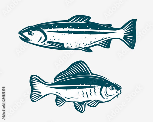 Fishs such as trout and carp. Fishing concept. Vector illustration