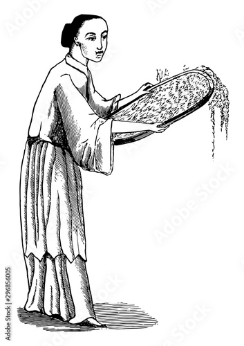 Winnowing Tea Leaves, vintage illustration.