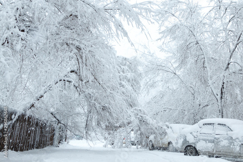 Snow blockages. The trees broke under the weight of wet snow and blocked the road between houses and crushed cars. Image of bad weather, cold climate